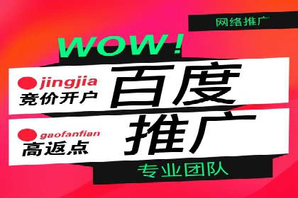 案例剖析：SEM网络推广助力品牌快速崛起